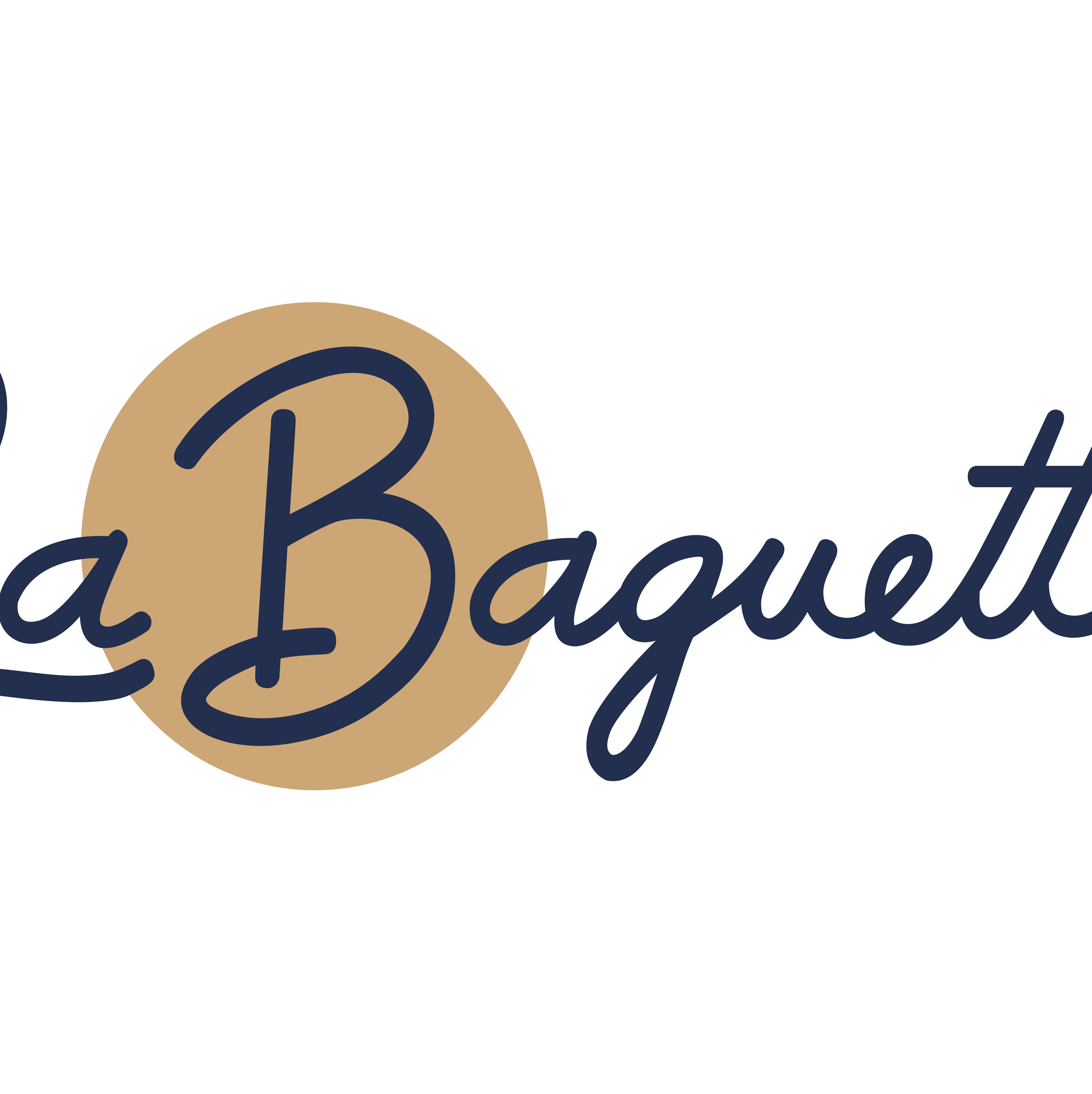 company logo